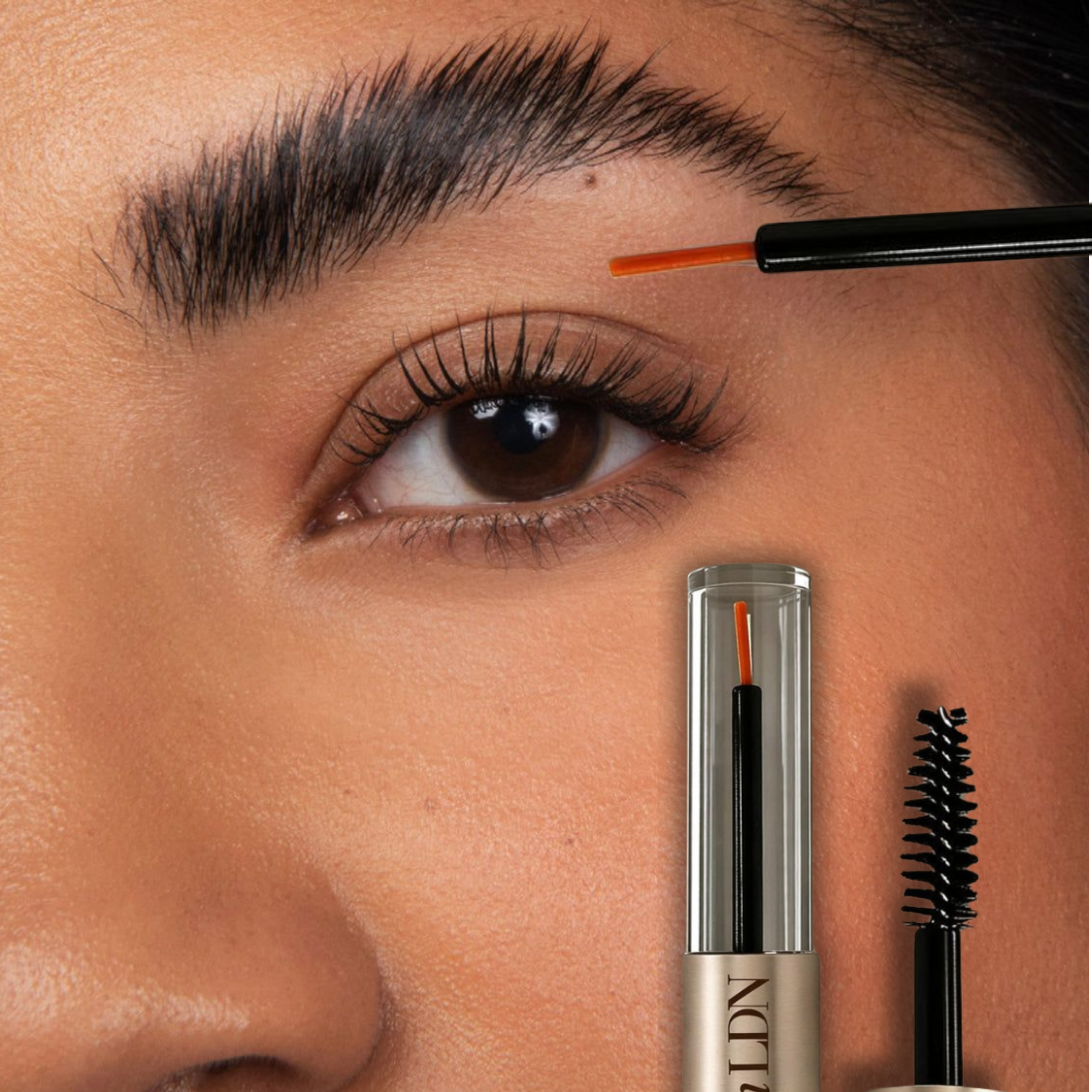 Lash & Brows