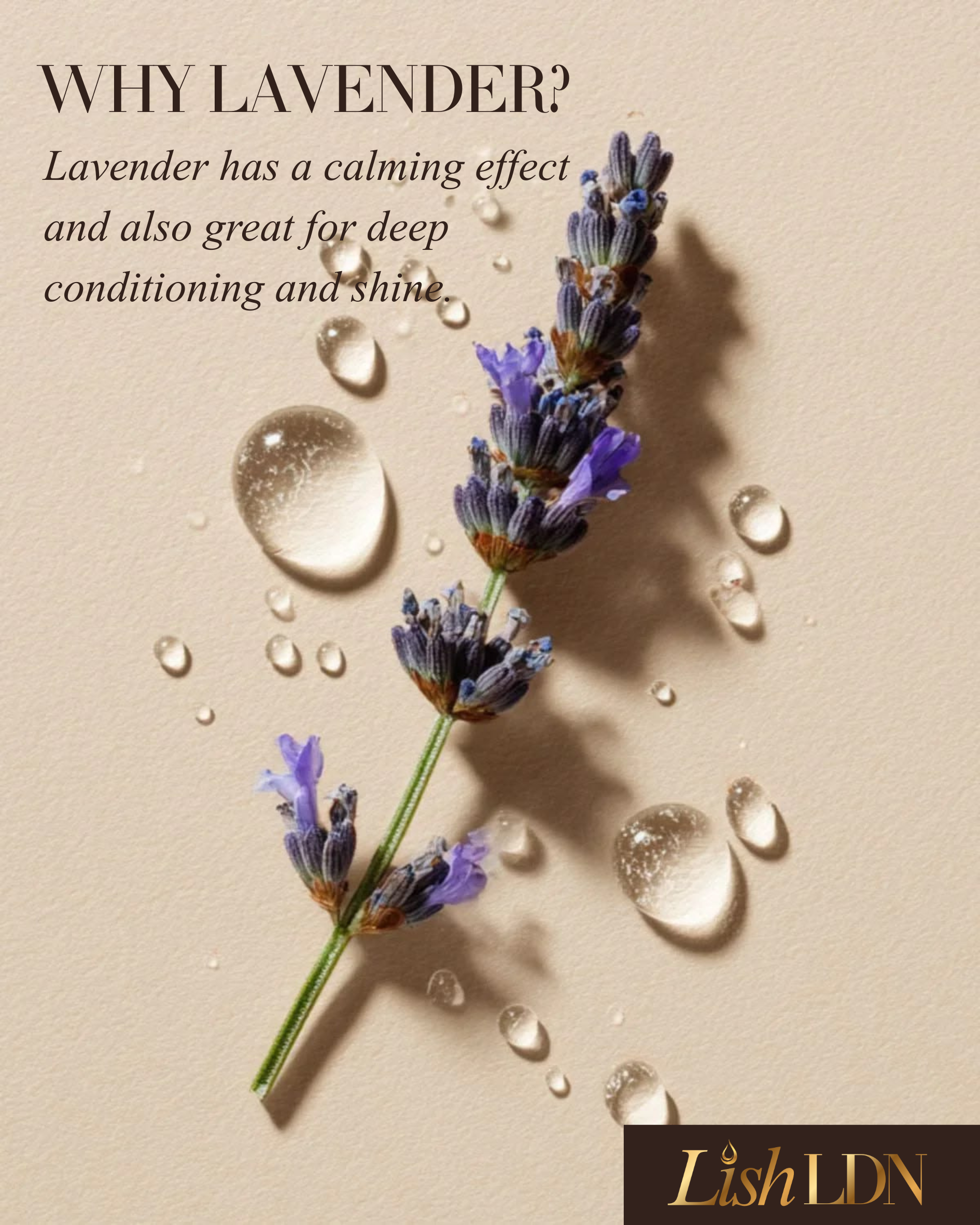 Signature Hair Oil